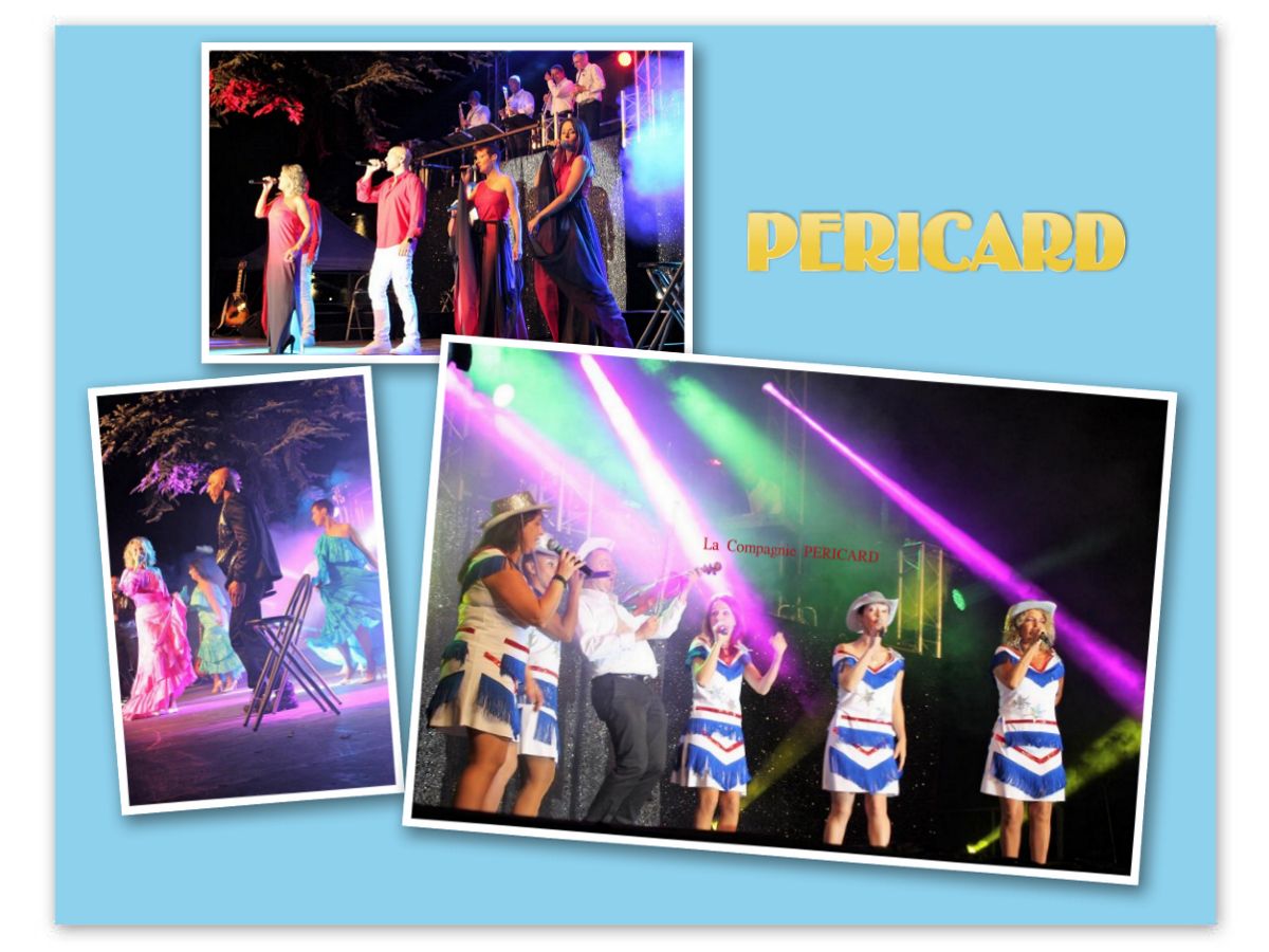 Pericard 1