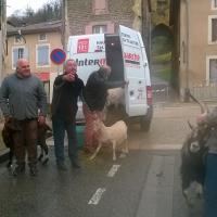 le président tire sur sa chévre qui ne veut pas descendre , elle s'appelle Jean Louis