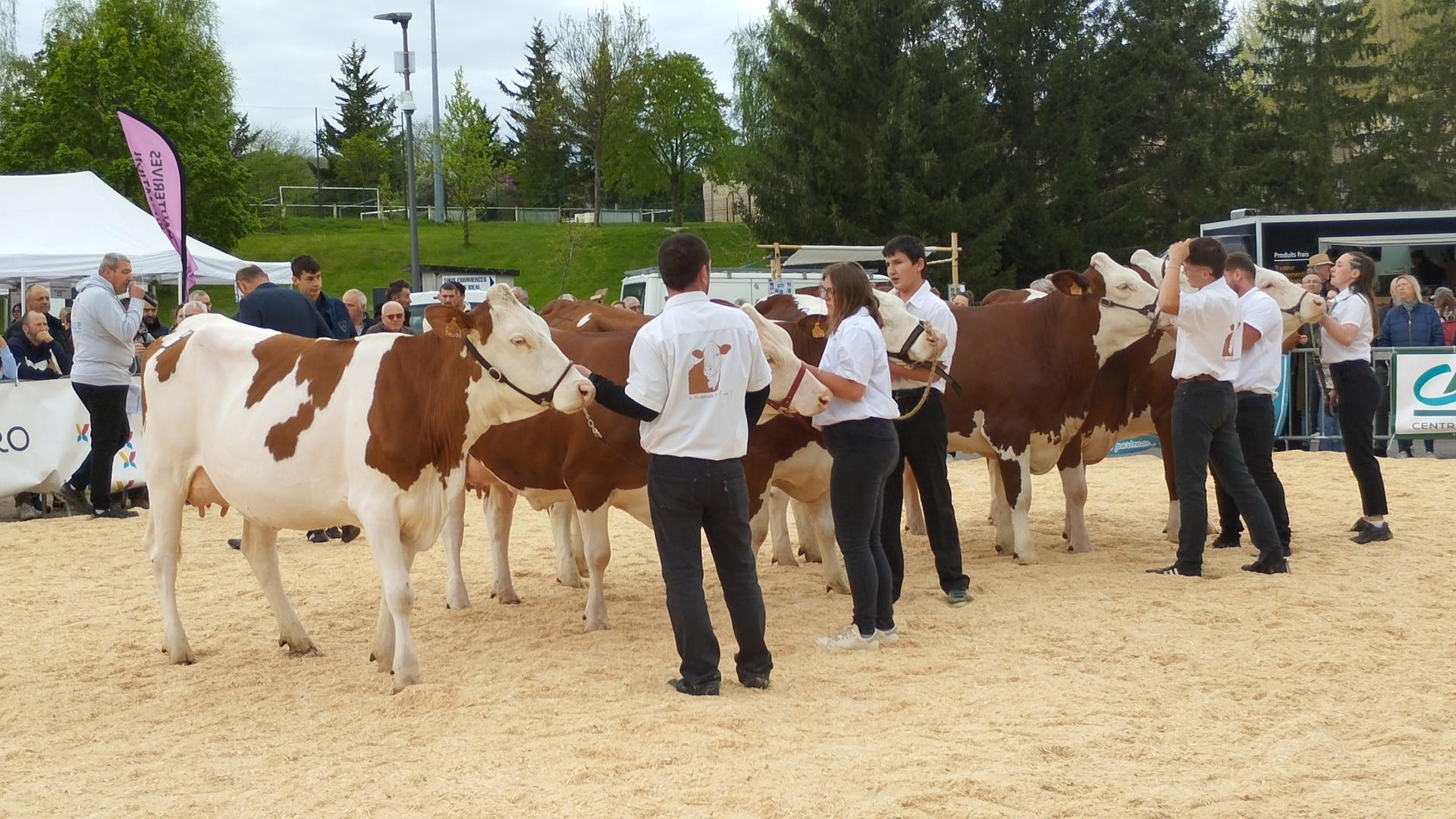 Le concours