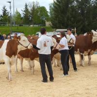 Le concours
