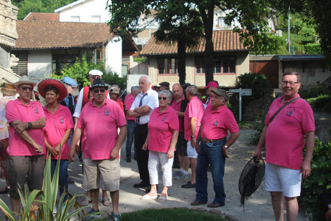 les flamands roses en action