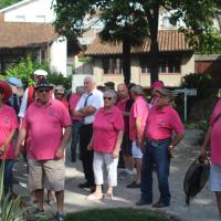 les flamands roses en action