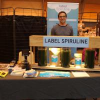 la spiruline