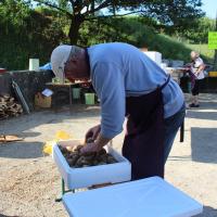 Bernard chouchoute les patates