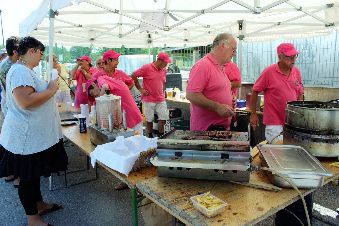 les flamands roses s'activent - Patrick cuisine