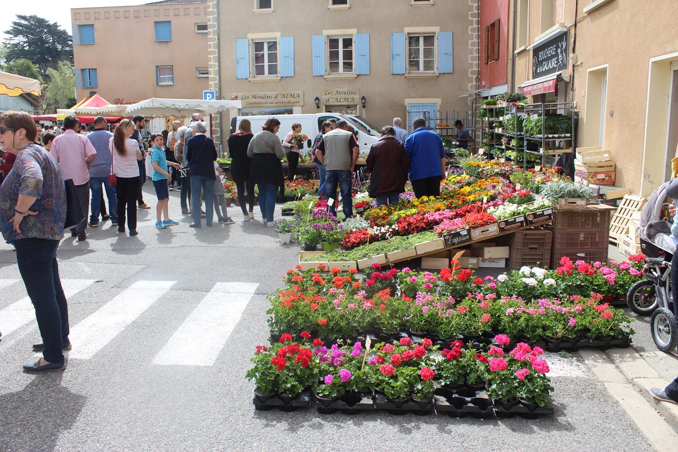 les fleurs et plantes