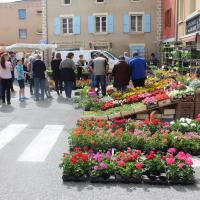 les fleurs et plantes