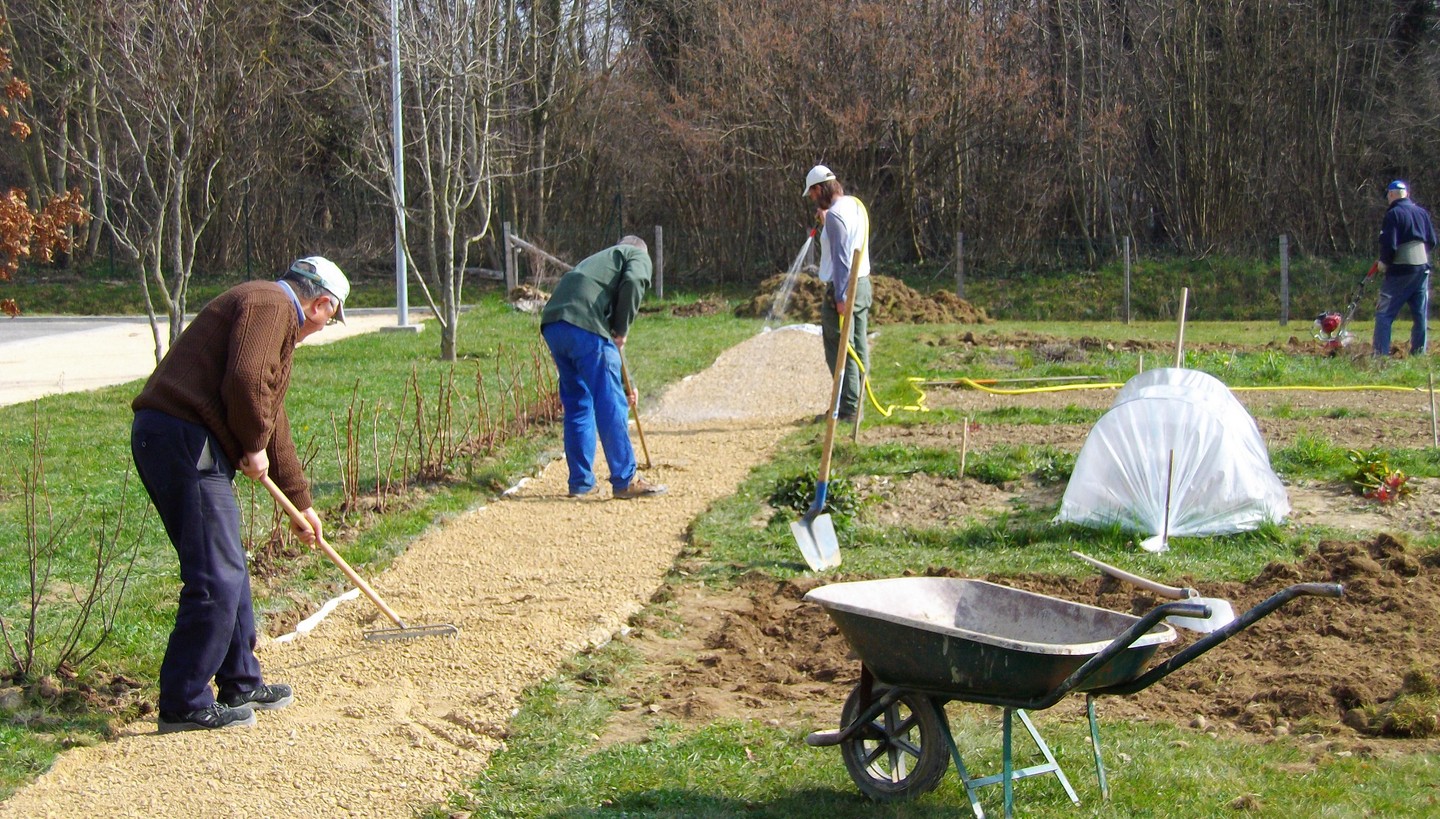 création d'une allée de promenade