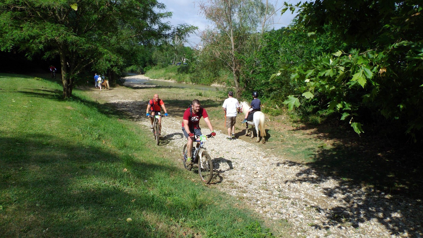 balade en poneys et en vtt (assez boueux)